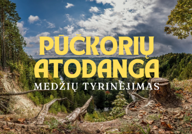 medziu-tyrinejimas-puckoriu-atodangoje_57_01721154194-8c81106a6c5c3b24ef8e4ba6ef3559a1.png